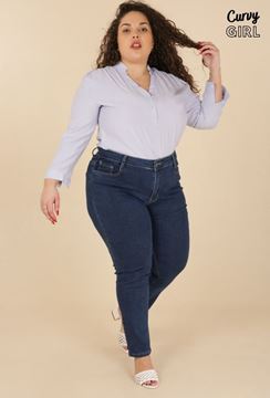 Picture of PLUS SIZE STRETCH COMFORT JEANS